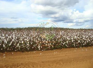 Imagem 1 · Fazenda