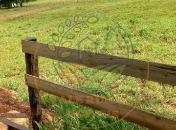 Imagem 1 · Fazenda