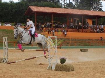 Imagem 1 · Haras e Área Rural Padrão