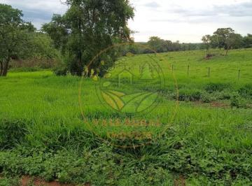 Imagem 1 · Fazenda