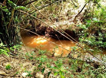 Foto 14 · SÍTIO À VENDA EM PIEDADE DOS GERAIS/MG