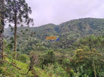 qo7zlfm2owiwnzvkmjk5y2q0_md · Chácara com linda vista rio araucárias Urubici - SC. 2 hectares  com bom acesso