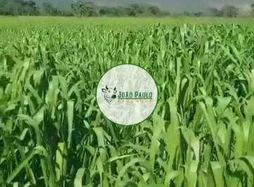 Rural , Arinos · Fazenda a venda em ARINOS-MG - 1.050 Hectares - Montada para atividade pecuária e bom potencial