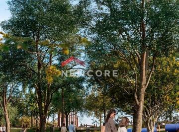 Terreno · 1m² - Newcore · Lote em Porto Rico - Centro - Porto Rico/PR