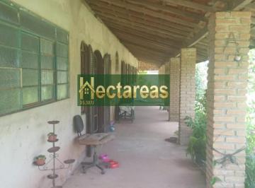 Imagem 1 · Fazenda