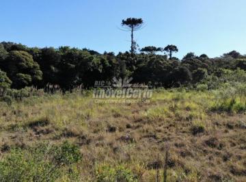 Terreno · 6500m² · ÁREA de terreno com de 6.500,00m2. ZI - Zona Indus