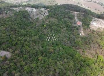 Terreno · 10000m² · Vendo terreno em Pedras com ótima localização!