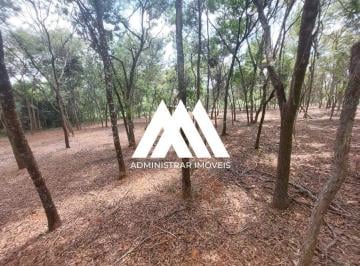 Terreno · 1500m² · Vendo terreno em Itatiaiuçu com ótima localização no Chaves!