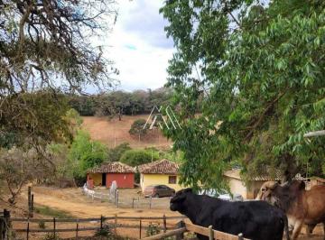 Fazenda á venda de 38 hectares com poço semi artesiano e lagoa em Oliveira MG! · Fazenda á venda de 38 hectares com poço semi artesiano e lagoa em Oliveira MG!