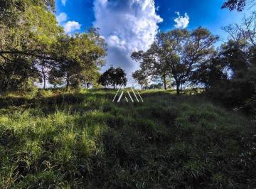 Terreno · 7000m² · Vendo chácara no Rio Manso excelente terreno de 7000m²