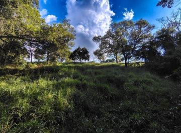 Terreno · 7000m² · Vendo chácara no Rio Manso excelente terreno de 7000m² 