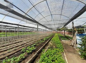 Terreno · 6629m² · SÍTIO DENTRO DE PORTO ALEGRE 6.629,10 metros quadrados de área no bairro Campo N