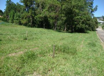 Terreno , Bragança Paulista · TERRENO LOTEAMENTO JARDIM DAS PALMEIRAS - BRAGANÇA PAULISTA/SP