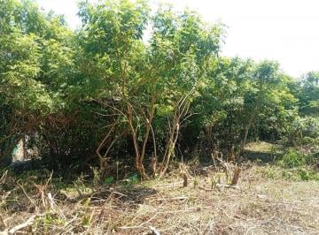 Terreno , São Paulo · ALUGO TERRENO 500 M² - VILA FAZZEONI - SP-SP (LR2800)