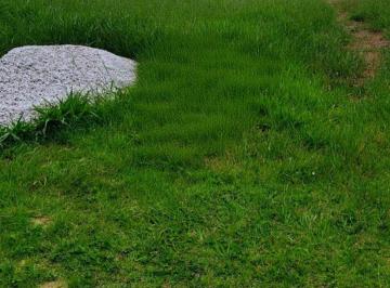 Terreno , Santana de Parnaíba · Excelente Terreno à Venda no Jardim das Flores - Santana de Parnaíba