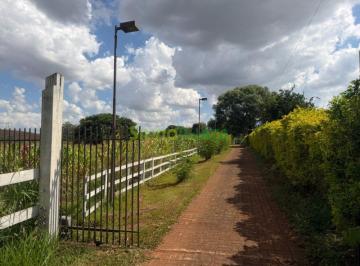 Terreno · VENDA | Terreno,  em Área Rural, Marialva