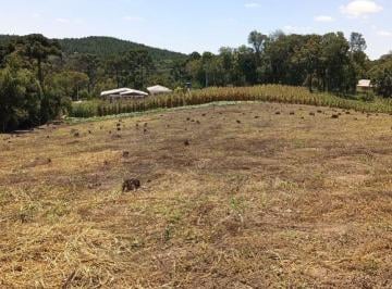 Imagem 1 · Fazenda