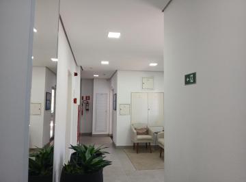 IMG_20260724_060301_000.jpeg · Imperdível apartamento para venda em Vila Basileia com 1 quarto, 45m² - silvanaalmeida#H9CVL