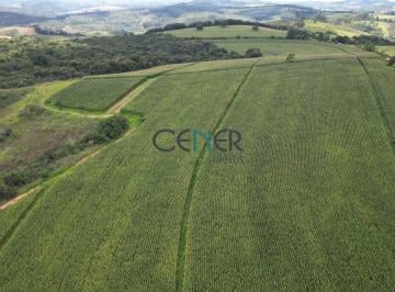 Terreno · 73ha · Espetacular terreno de 73 ha em lavouras na região de Carandai MG