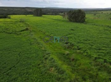 Rural · 610m² · Oportunidade em Fazenda de 610 ha com outorga para irrigação na região de Martinho Campos MG