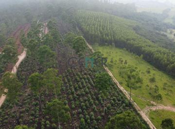 Terreno · 30ha · Ótimo terreno de 30 ha para sitio, lavouras, industria ótima logistica