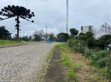 25101005_4.jpg · TERRENO NO BAIRRO DESVIO RIZZO COM 421M²