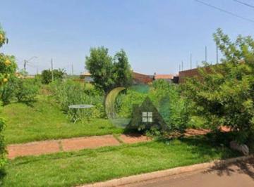 ad850f63ebc055d800caf282b12e962408d5ae78 · Terreno à venda, 292 m² por R$ 175.000 - Vida Nova - Barretos/SP