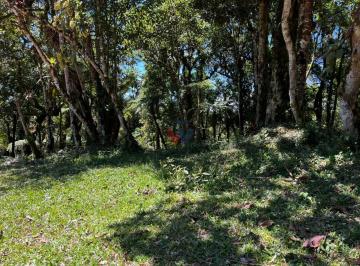 Rural · 20000m² · Chácara em Area Rural, São José dos Pinhais/PR de 20000m² à venda por R$ 330.000,00