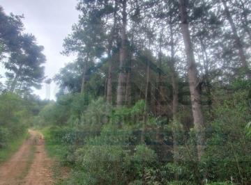 Rural · Área à venda no bairro Centro - Tunas do Paraná/PR