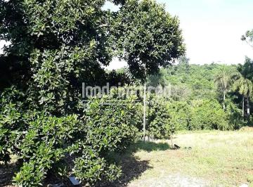Terreno · 10m² · Terreno em Parque Jamaica, Londrina/PR de 10m² à venda por R$ 990.000,00