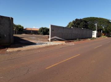 Casa · 318m² · 2 Quartos · 8 Vagas · Casa em Betel, Paulínia/SP de 318m² 2 quartos à venda por R$ 8.000.000,00