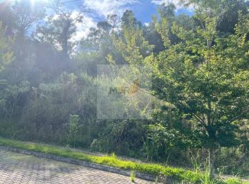 Foto 01 · Terreno à Venda em Nova Petrópolis | 520m² Loteamento Bosque das Araucárias I | Linha Imperial