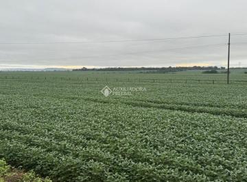 Rural · 390000m² · Fazenda Dupla Aptidão à Venda, 39.000 Hectares, Querência, Mato Grosso