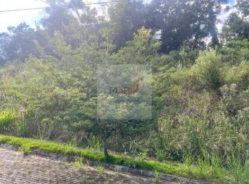 Foto 01 · Terreno à Venda em Nova Petrópolis | 444m² Loteamento Bosque das Araucárias I | Linha Imperial