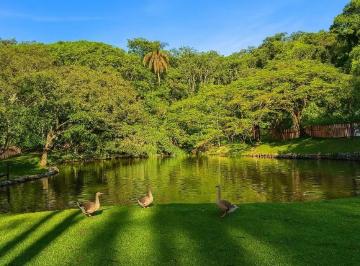 Rural , Esmeraldas · Sítio 6.000 m2 localizado em Esmeraldas/MG