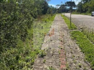 Foto 01 · Terreno à Venda em Nova Petrópolis | 378m² Loteamento Bosque das Araucárias I | Linha Imperial