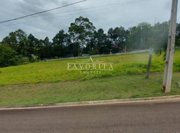 Foto 01 · Terreno à venda - em Vila Bocaina