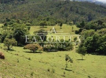 Foto 01 · Rurais à venda - em Cachoeirinha