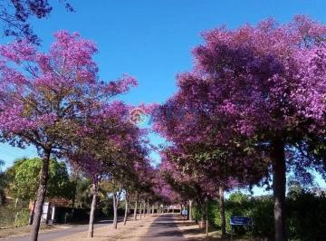8m5cnrfsfocr1772587637405.jpg · Viva a tranquilidade e o contato com a natureza no Condomínio Alto da Boa Vista!