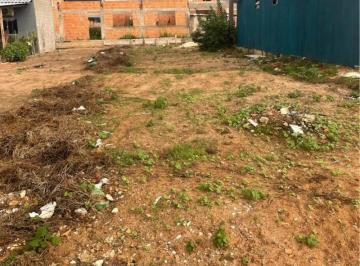 Foto 01 · Terreno - Nova Mutum