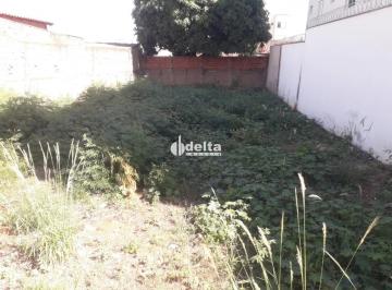 Terreno · 360m² · Terreno disponível para venda no bairro Segismundo Pereira em Uberlândia MG