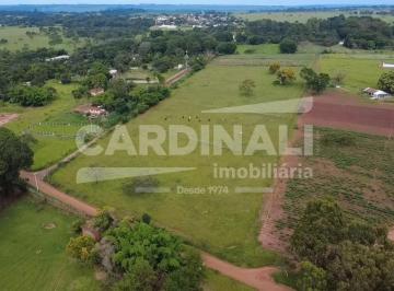 Rural · 42350m² · Área plana e muito bem localizada entre o Varjão e agua vermelha sentido estrada de terra rumo a San