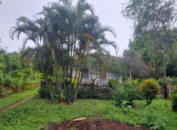 Rural · 19ha · FAZENDINHA DE 19,5 EM LOCALIAÇÃO ESPETACULAR