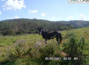 Rural · 100m² · Fazenda à venda em Carandaí/MG