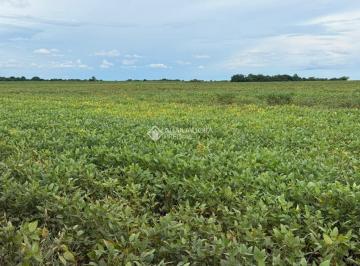 Rural · 27500m² · Área com 3.000 Hectares à Venda, Zona Rural, Canarana, Mato Grosso