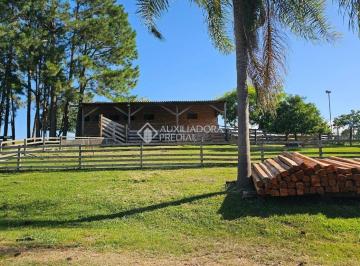 Rural · 60000m² · Chácara à venda em Guaíba - Petim