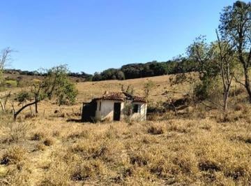 Foto 01 · EXCELENTE OPORTUNIDADE! CHÁCARA A VENDA EM PIEDADE DOS GERAIS/MG