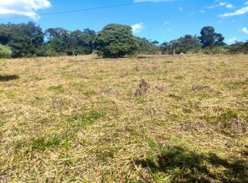Foto 02 · TERRENO DE 10.000M² PLANO COM NASCENTE E POTENCIAL PARA LAGOA À VENDA EM PIEDADE DOS GERAIS/MG