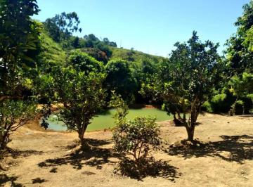 Foto 01 · CHÁCARA 2.100 m² C/ CASA AMPLA E LAGOA DE PEIXES À VENDA EM CARMÓPOLIS/MG