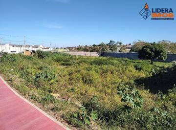 Foto 09 · Terreno para Venda, no Papagaio, Feira de Santana, Pavimentado, 5.548m² área total